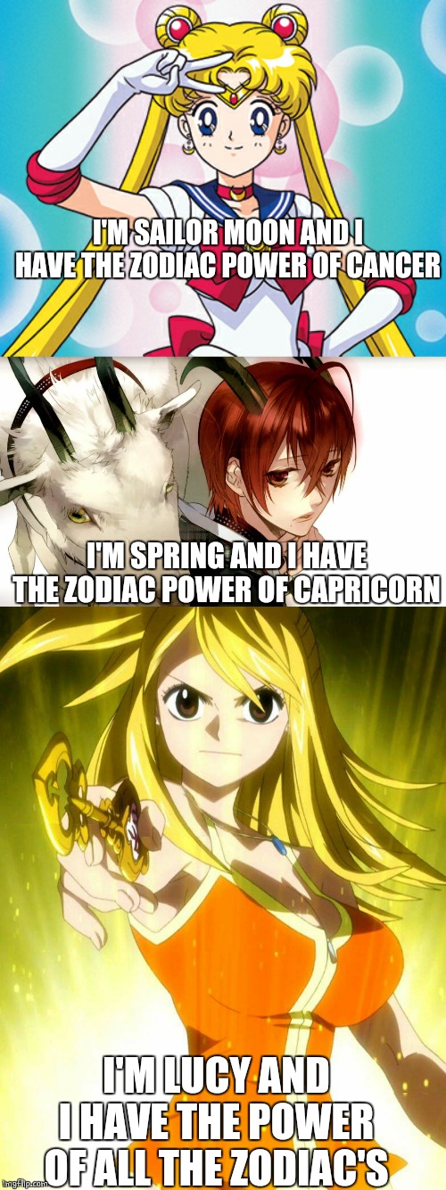 LUCY HAS ALL THE POWER | I'M SAILOR MOON AND I HAVE THE ZODIAC POWER OF CANCER; I'M SPRING AND I HAVE THE ZODIAC POWER OF CAPRICORN; I'M LUCY AND I HAVE THE POWER OF ALL THE ZODIAC'S | image tagged in fairy tail,sailor moon,stary sky,anime,anime meme,zodiac | made w/ Imgflip meme maker