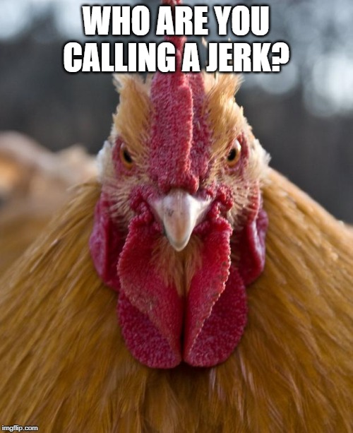 Angry Chicken | WHO ARE YOU CALLING A JERK? | image tagged in angry chicken | made w/ Imgflip meme maker