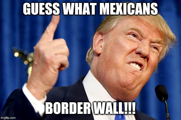 Donald Trump | GUESS WHAT MEXICANS; BORDER WALL!!! | image tagged in donald trump | made w/ Imgflip meme maker