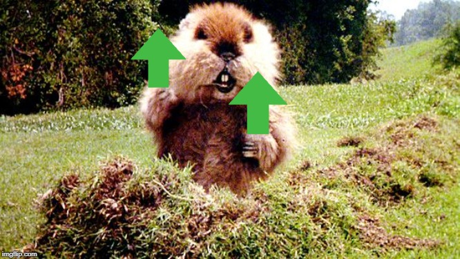 Caddyshack Gopher | image tagged in caddyshack gopher | made w/ Imgflip meme maker