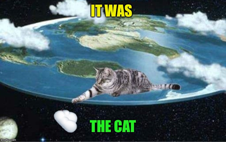 IT WAS THE CAT | made w/ Imgflip meme maker