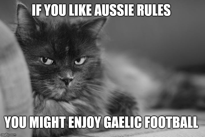 IF YOU LIKE AUSSIE RULES YOU MIGHT ENJOY GAELIC FOOTBALL | made w/ Imgflip meme maker
