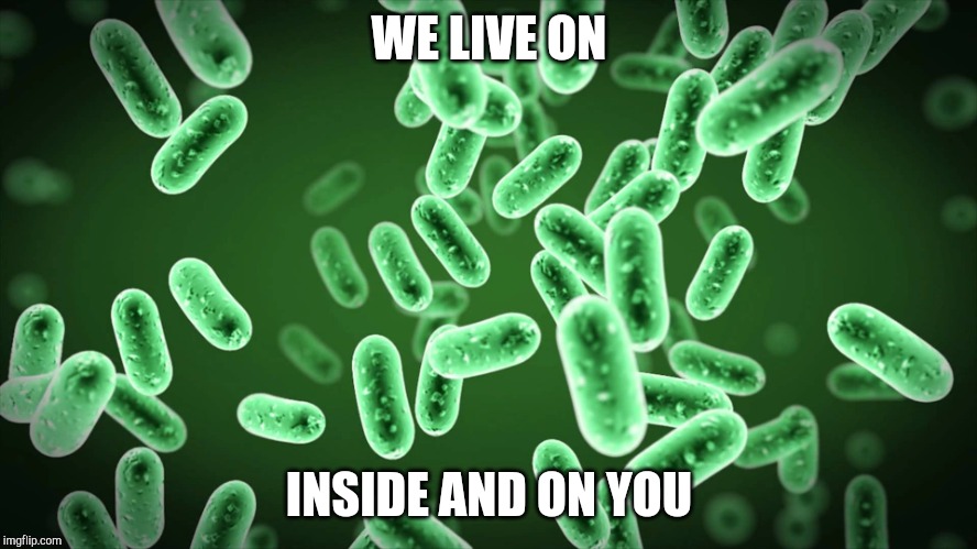 Green Bacteria | WE LIVE ON INSIDE AND ON YOU | image tagged in green bacteria | made w/ Imgflip meme maker