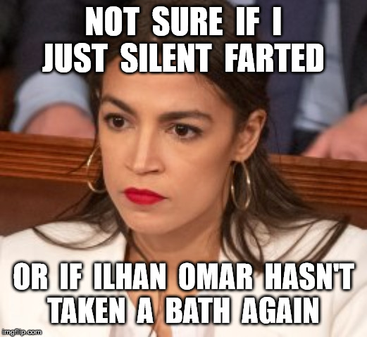 Oblivious Alexandria Ocasio-Cortez | NOT  SURE  IF  I
JUST  SILENT  FARTED; OR  IF  ILHAN  OMAR  HASN'T
TAKEN  A  BATH  AGAIN | image tagged in oblivious alexandria ocasio-cortez | made w/ Imgflip meme maker