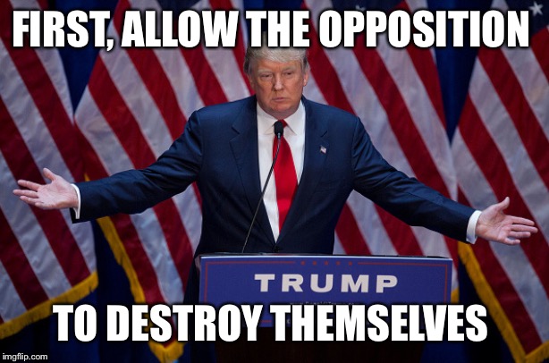 Donald Trump | FIRST, ALLOW THE OPPOSITION TO DESTROY THEMSELVES | image tagged in donald trump | made w/ Imgflip meme maker