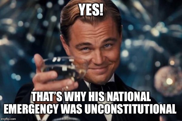 Leonardo Dicaprio Cheers Meme | YES! THAT’S WHY HIS NATIONAL EMERGENCY WAS UNCONSTITUTIONAL | image tagged in memes,leonardo dicaprio cheers | made w/ Imgflip meme maker