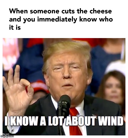 Totally me (but it wasn't me). | image tagged in windy,trump stable genius | made w/ Imgflip meme maker