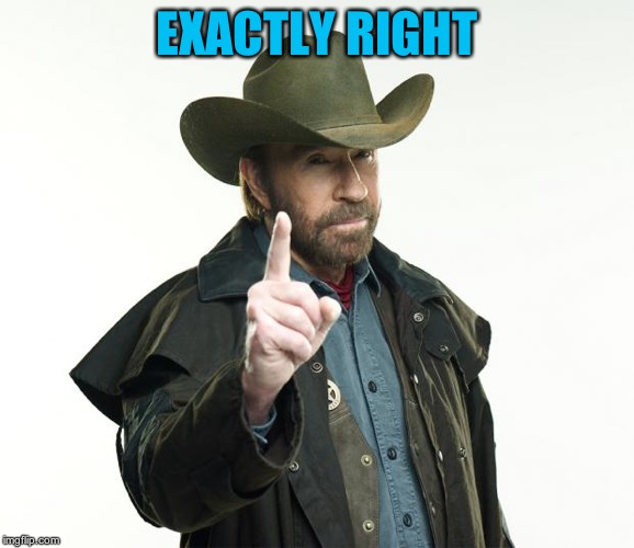 Chuck Norris Finger Meme | EXACTLY RIGHT | image tagged in memes,chuck norris finger,chuck norris | made w/ Imgflip meme maker