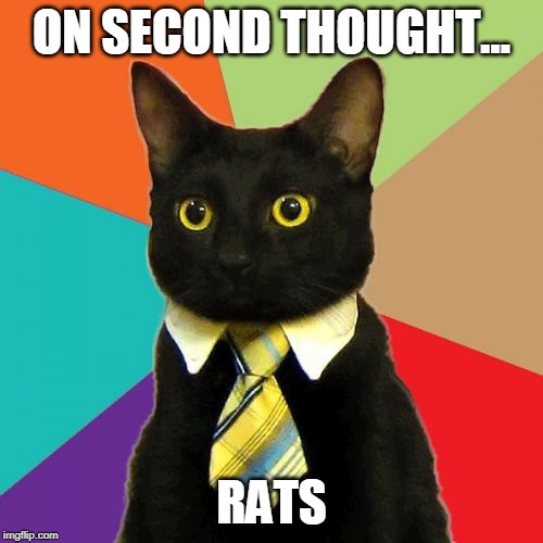 Business Cat Meme | ON SECOND THOUGHT... RATS | image tagged in memes,business cat | made w/ Imgflip meme maker