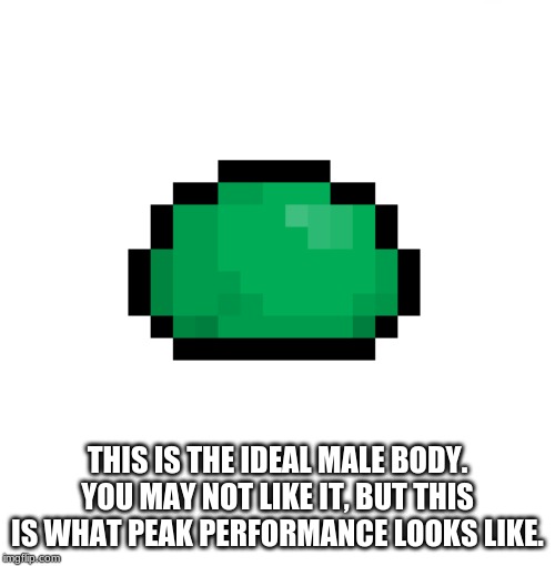 Should be the final boss | THIS IS THE IDEAL MALE BODY. YOU MAY NOT LIKE IT, BUT THIS IS WHAT PEAK PERFORMANCE LOOKS LIKE. | image tagged in terraria,peak performance,ideal male body | made w/ Imgflip meme maker