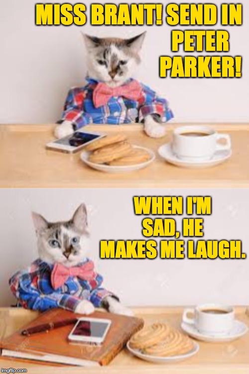 Make time for sunshine  ( : | MISS BRANT! SEND IN; PETER PARKER! WHEN I'M SAD, HE MAKES ME LAUGH. | image tagged in memes,cats,j jonah jamescat,peter parker | made w/ Imgflip meme maker