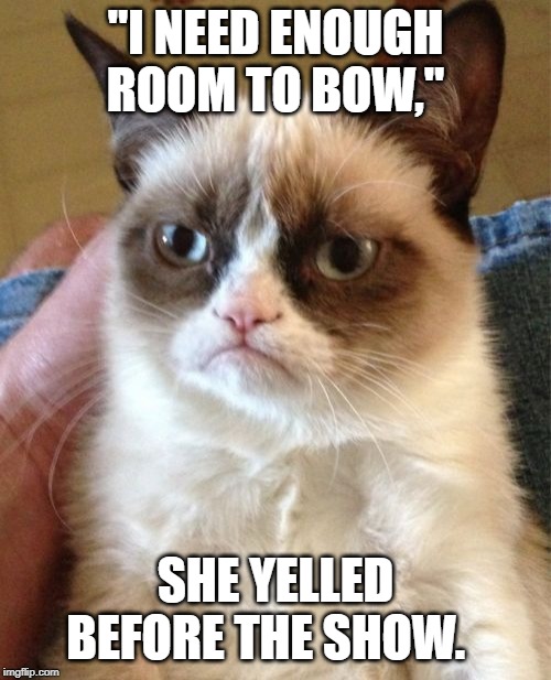 Grumpy Cat | "I NEED ENOUGH ROOM TO BOW,"; SHE YELLED BEFORE THE SHOW. | image tagged in memes,grumpy cat | made w/ Imgflip meme maker