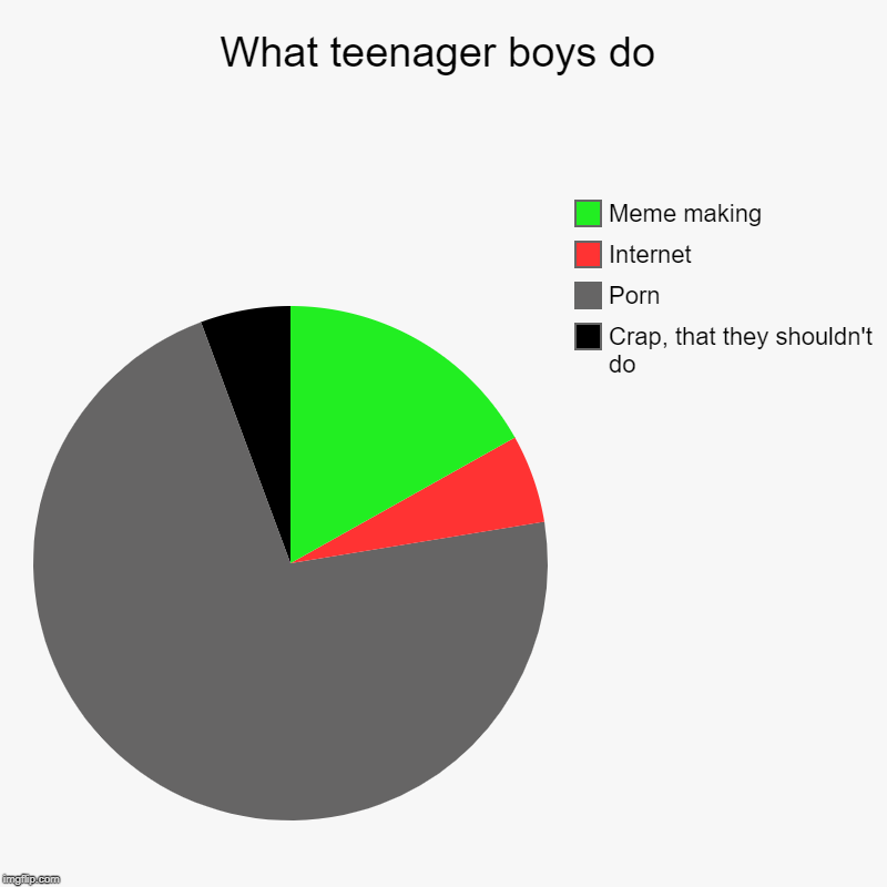 What teenager boys do | Crap, that they shouldn't do, Porn, Internet, Meme making | image tagged in charts,pie charts | made w/ Imgflip chart maker