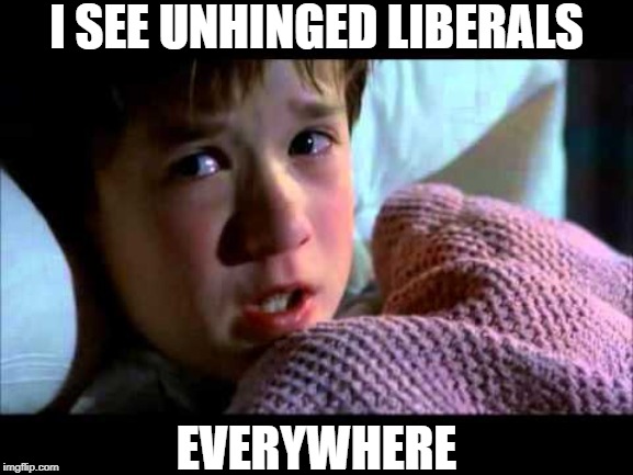 I see unhinged liberals everywhere | I SEE UNHINGED LIBERALS; EVERYWHERE | image tagged in i see dead people,political meme,unhinged liberals,democrats,angry liberal,looney leftists | made w/ Imgflip meme maker