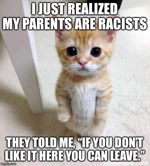 This isn’t a prison | I JUST REALIZED MY PARENTS ARE RACISTS; THEY TOLD ME, “IF YOU DON’T LIKE IT HERE YOU CAN LEAVE.” | image tagged in memes,cute cat,donald trump,the squad,political meme | made w/ Imgflip meme maker