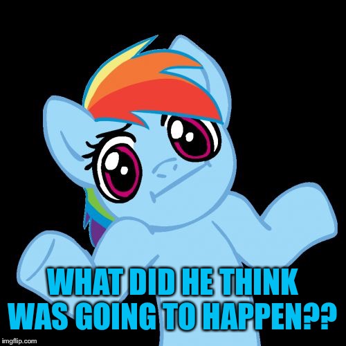 Pony Shrugs Meme | WHAT DID HE THINK WAS GOING TO HAPPEN?? | image tagged in memes,pony shrugs | made w/ Imgflip meme maker