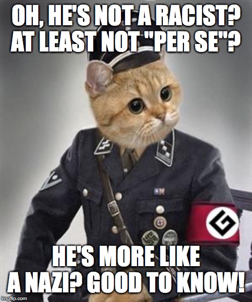 Grammar Nazi Cat | OH, HE'S NOT A RACIST? AT LEAST NOT "PER SE"? HE'S MORE LIKE A NAZI? GOOD TO KNOW! | image tagged in grammar nazi cat | made w/ Imgflip meme maker