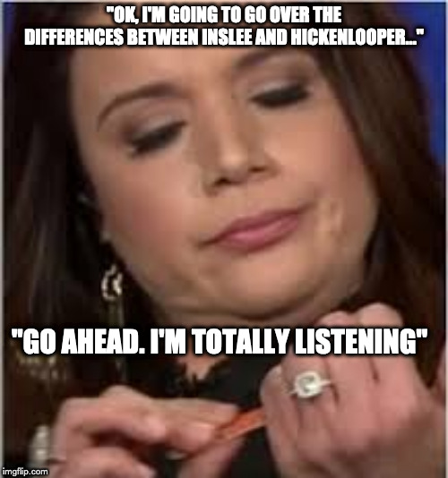 "OK, I'M GOING TO GO OVER THE DIFFERENCES BETWEEN INSLEE AND HICKENLOOPER..."; "GO AHEAD. I'M TOTALLY LISTENING" | made w/ Imgflip meme maker
