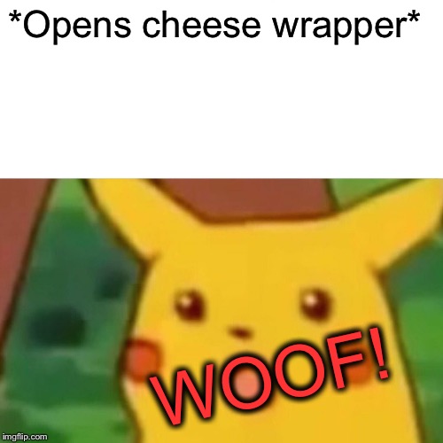 Surprised Pikachu Meme | *Opens cheese wrapper* WOOF! | image tagged in memes,surprised pikachu | made w/ Imgflip meme maker