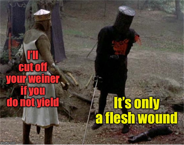 FLesh wound | I’ll cut off your weiner if you do not yield It’s only a flesh wound | image tagged in flesh wound | made w/ Imgflip meme maker