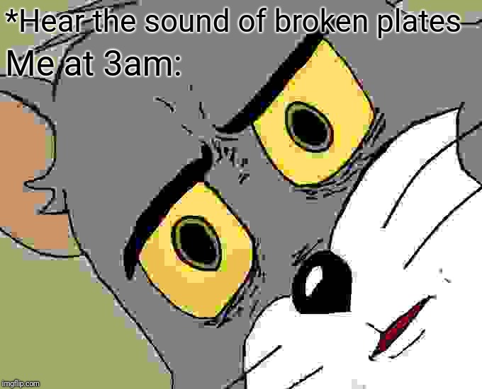 Unsettled Tom | *Hear the sound of broken plates; Me at 3am: | image tagged in memes,unsettled tom | made w/ Imgflip meme maker