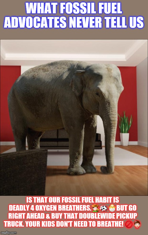 Elephant In The Room | WHAT FOSSIL FUEL ADVOCATES NEVER TELL US IS THAT OUR FOSSIL FUEL HABIT IS DEADLY 4 OXYGEN BREATHERS.?‍???BUT GO RIGHT AHEAD & BUY THAT DOUBL | image tagged in elephant in the room | made w/ Imgflip meme maker