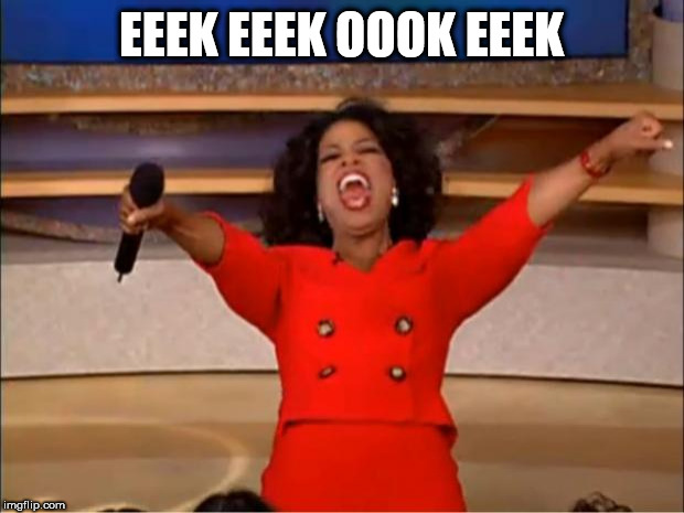 Oprah You Get A Meme | EEEK EEEK OOOK EEEK | image tagged in memes,oprah you get a | made w/ Imgflip meme maker