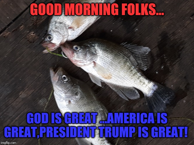 Good morning | GOOD MORNING FOLKS... GOD IS GREAT ...AMERICA IS GREAT,PRESIDENT TRUMP IS GREAT! | image tagged in fun stuff | made w/ Imgflip meme maker