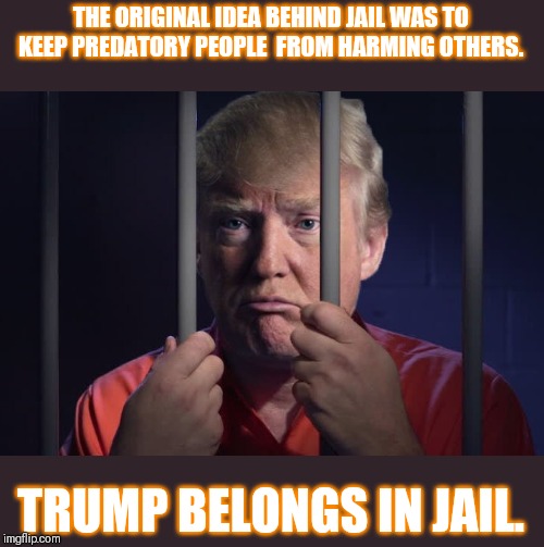 Trump in jail  | THE ORIGINAL IDEA BEHIND JAIL WAS TO KEEP PREDATORY PEOPLE  FROM HARMING OTHERS. TRUMP BELONGS IN JAIL. | image tagged in trump in jail | made w/ Imgflip meme maker