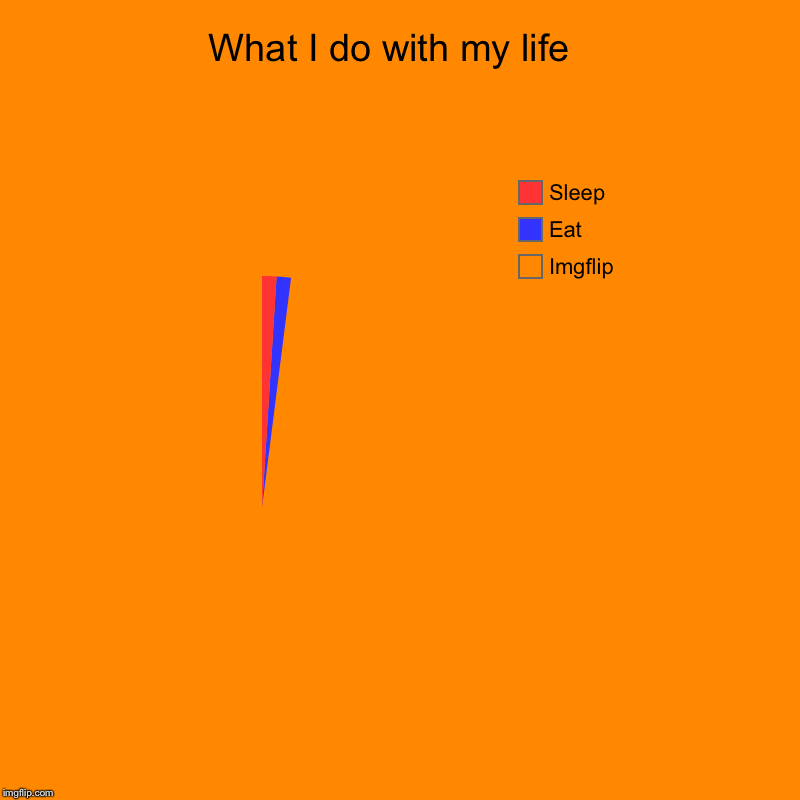 I just live ok... | What I do with my life  | Imgflip, Eat, Sleep | image tagged in charts,pie charts,imgflip | made w/ Imgflip chart maker