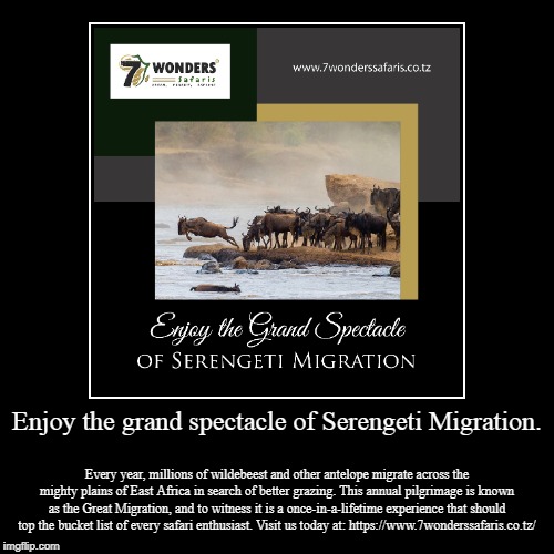 Enjoy the grand spectacle of Serengeti Migration. | image tagged in animals,wildlife,safari,africa | made w/ Imgflip demotivational maker