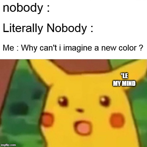 Surprised Pikachu Meme | nobody :; Literally Nobody :; Me : Why can't i imagine a new color ? *LE MY MIND | image tagged in memes,surprised pikachu | made w/ Imgflip meme maker