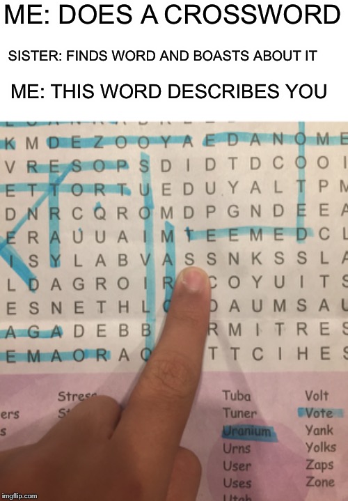 Me when sister boasts in a middle of a crossword | ME: DOES A CROSSWORD; SISTER: FINDS WORD AND BOASTS ABOUT IT; ME: THIS WORD DESCRIBES YOU | image tagged in ass,crossword | made w/ Imgflip meme maker