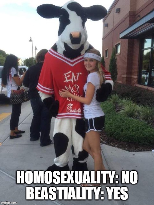 beastiality at Chick-fil-A | HOMOSEXUALITY: NO
BEASTIALITY: YES | image tagged in beastiality,homosexuality,chick-fil-a | made w/ Imgflip meme maker