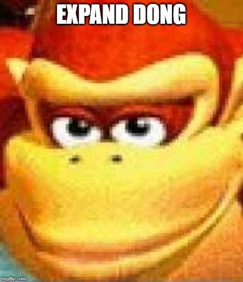 expand dong | EXPAND DONG | image tagged in expand dong | made w/ Imgflip meme maker