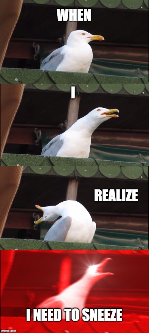 SEAGULL BOI | WHEN; I; REALIZE; I NEED TO SNEEZE | image tagged in memes,inhaling seagull | made w/ Imgflip meme maker