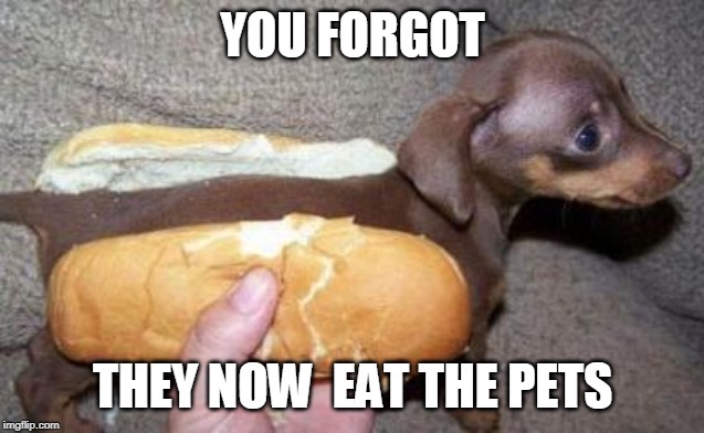asian hot dog | YOU FORGOT THEY NOW  EAT THE PETS | image tagged in asian hot dog | made w/ Imgflip meme maker