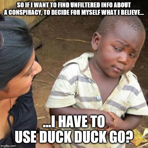 Wow, big difference | SO IF I WANT TO FIND UNFILTERED INFO ABOUT A CONSPIRACY, TO DECIDE FOR MYSELF WHAT I BELIEVE... ...I HAVE TO USE DUCK DUCK GO? | image tagged in conspiracy theory,google search,government corruption,censorship,mainstream media,research | made w/ Imgflip meme maker