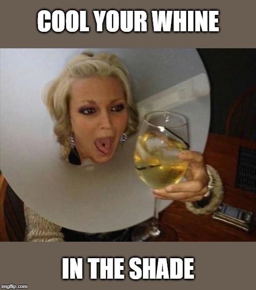 COOL YOUR WHINE IN THE SHADE | made w/ Imgflip meme maker