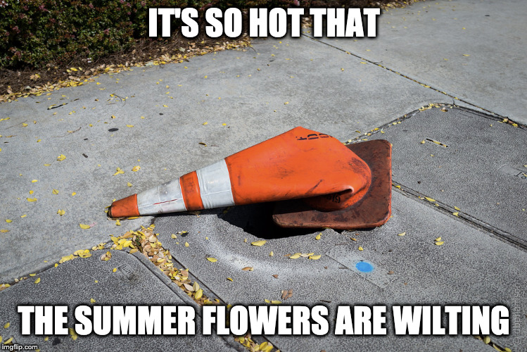 How Hot Is It? | IT'S SO HOT THAT; THE SUMMER FLOWERS ARE WILTING | image tagged in melt,hot,summer,100 degrees,first world problems | made w/ Imgflip meme maker