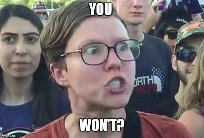 Triggered Liberal | YOU WON'T? | image tagged in triggered liberal | made w/ Imgflip meme maker