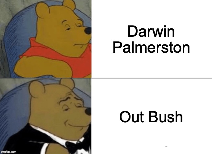 Tuxedo Winnie The Pooh Meme | Darwin
Palmerston; Out Bush | image tagged in memes,tuxedo winnie the pooh | made w/ Imgflip meme maker