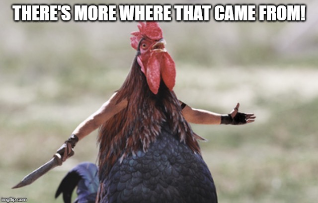 Angry chicken | THERE'S MORE WHERE THAT CAME FROM! | image tagged in angry chicken | made w/ Imgflip meme maker