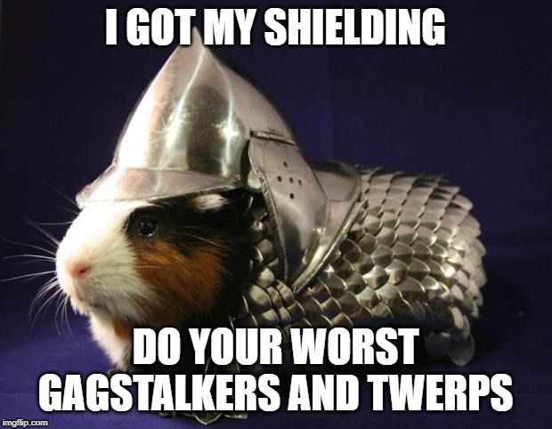 Guinea Pig | I GOT MY SHIELDING; DO YOUR WORST GAGSTALKERS AND TWERPS | image tagged in guinea pig | made w/ Imgflip meme maker