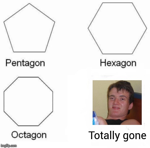 Why hasn't someone else thought of this ? | Totally gone | image tagged in memes,pentagon hexagon octagon,thanks captain obvious,stoner,yeah if you could,posting | made w/ Imgflip meme maker
