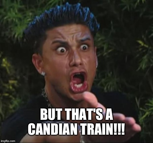 DJ Pauly D Meme | BUT THAT'S A CANDIAN TRAIN!!! | image tagged in memes,dj pauly d | made w/ Imgflip meme maker