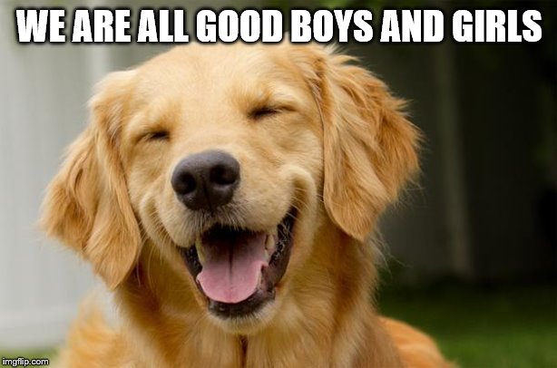 Happy Dog | WE ARE ALL GOOD BOYS AND GIRLS | image tagged in happy dog | made w/ Imgflip meme maker