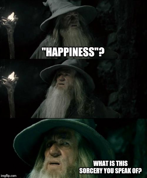 Confused Gandalf Meme |  "HAPPINESS"? WHAT IS THIS SORCERY YOU SPEAK OF? | image tagged in memes,confused gandalf | made w/ Imgflip meme maker