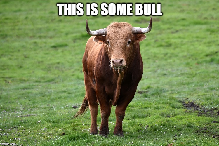 This is some bull | THIS IS SOME BULL | image tagged in this is some bull,bull,funny meme,clever meme,bull meme | made w/ Imgflip meme maker
