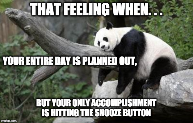 lazy panda | THAT FEELING WHEN. . . YOUR ENTIRE DAY IS PLANNED OUT, BUT YOUR ONLY ACCOMPLISHMENT IS HITTING THE SNOOZE BUTTON | image tagged in lazy panda | made w/ Imgflip meme maker